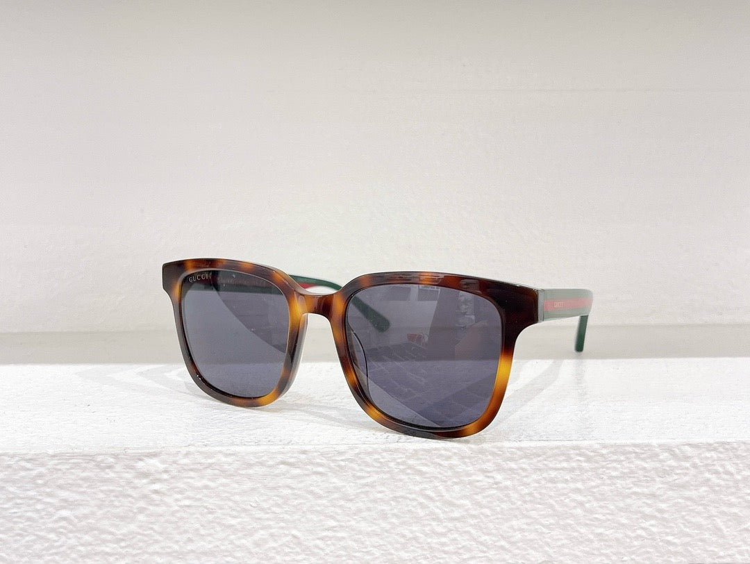 Black and Brown Sunglass