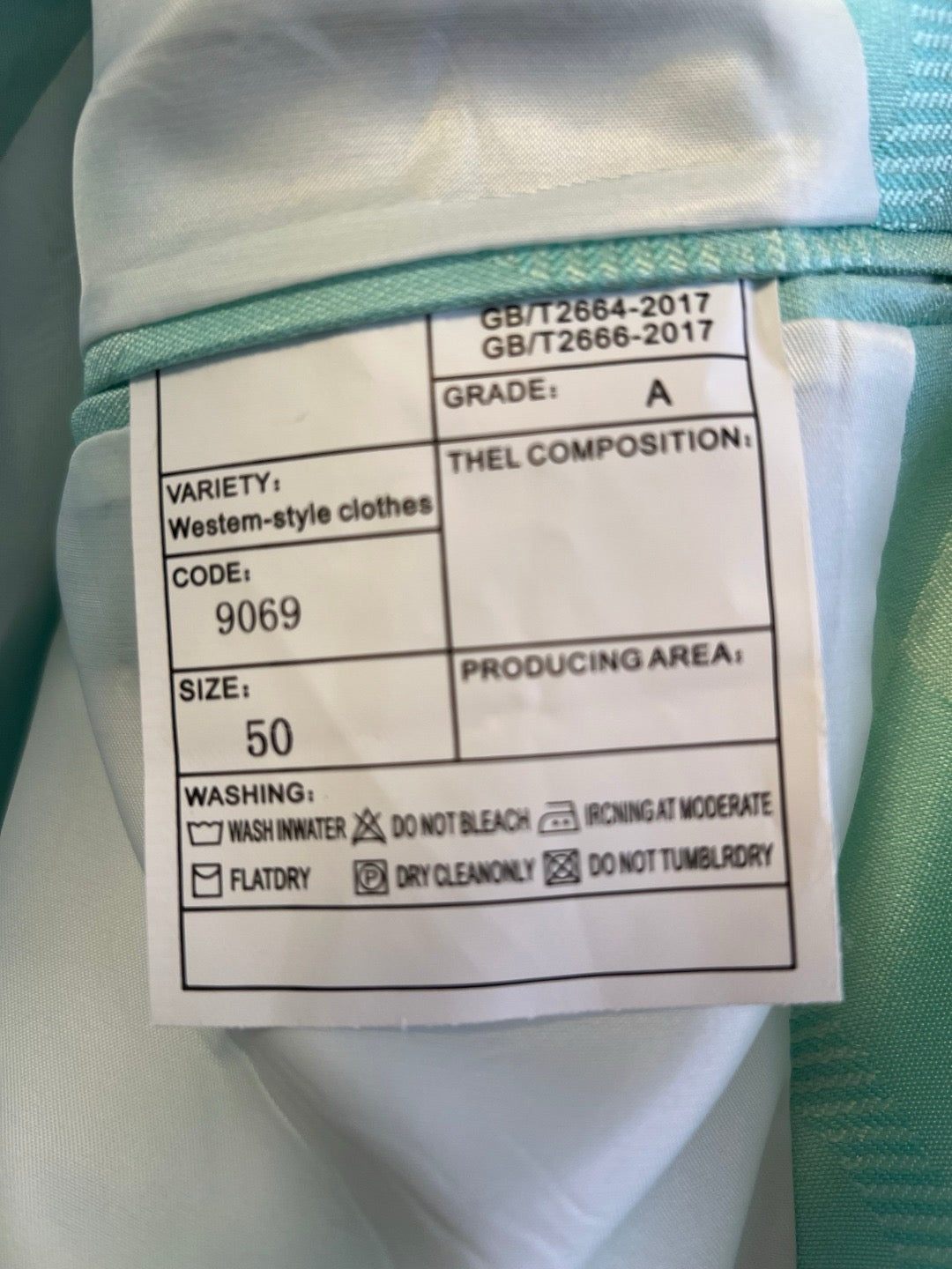 Light Green Jacket and Pant Suit - Size 54/ 33