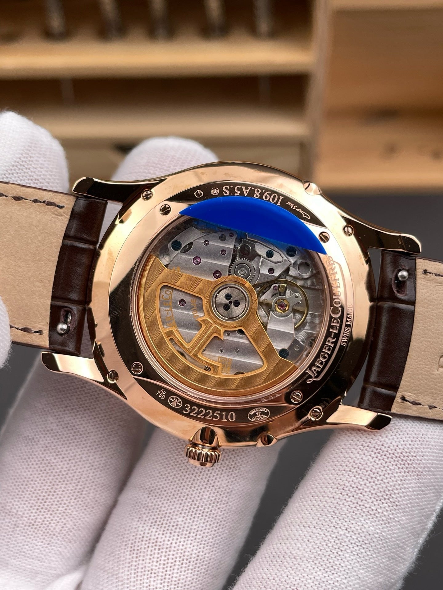 Brown Watch
