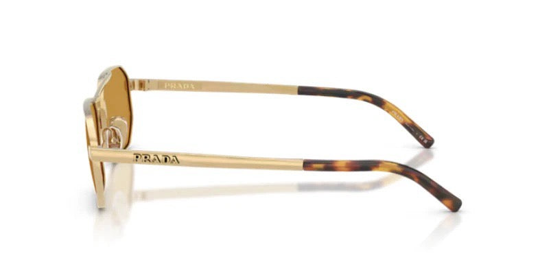 Multi-color Sunglass
