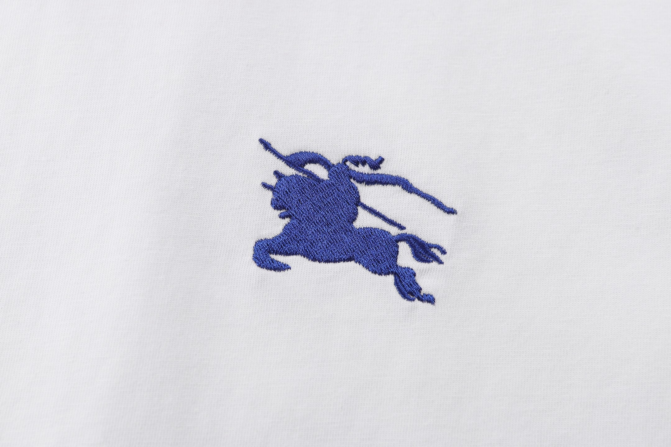 Blue and White T-shirt