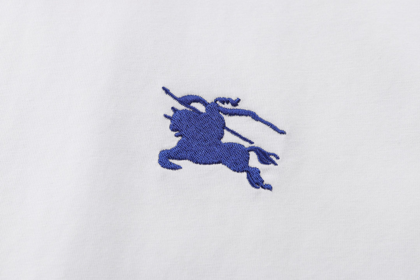 Blue and White T-shirt