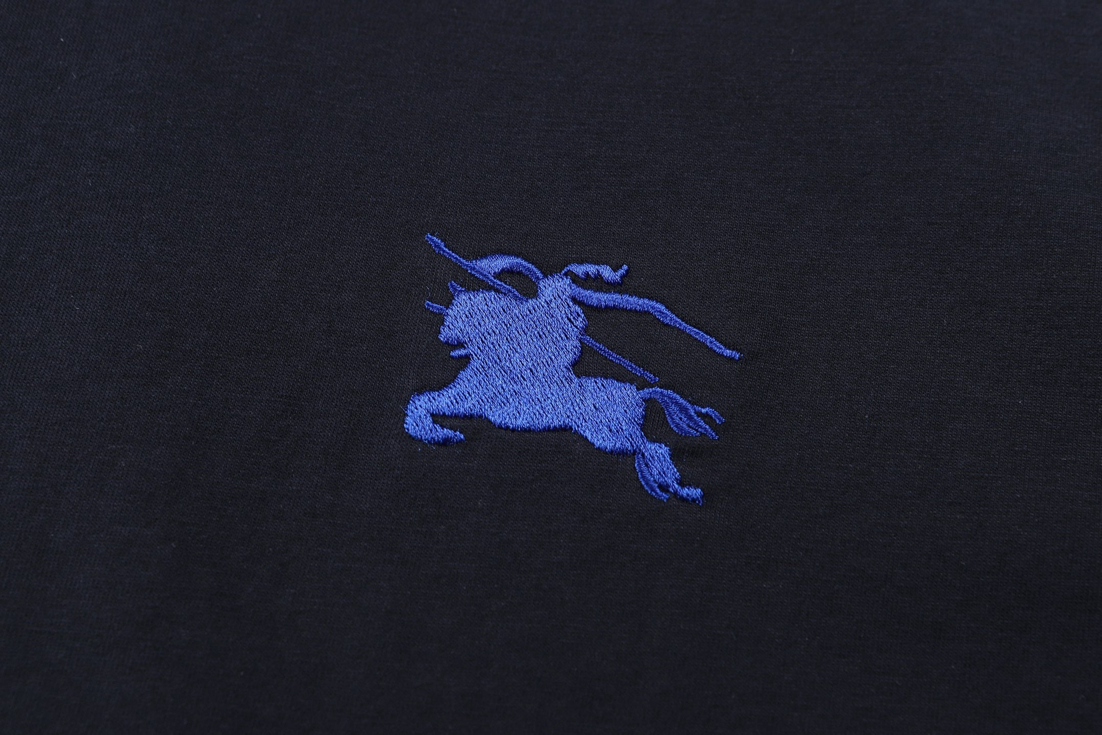 Blue and White T-shirt