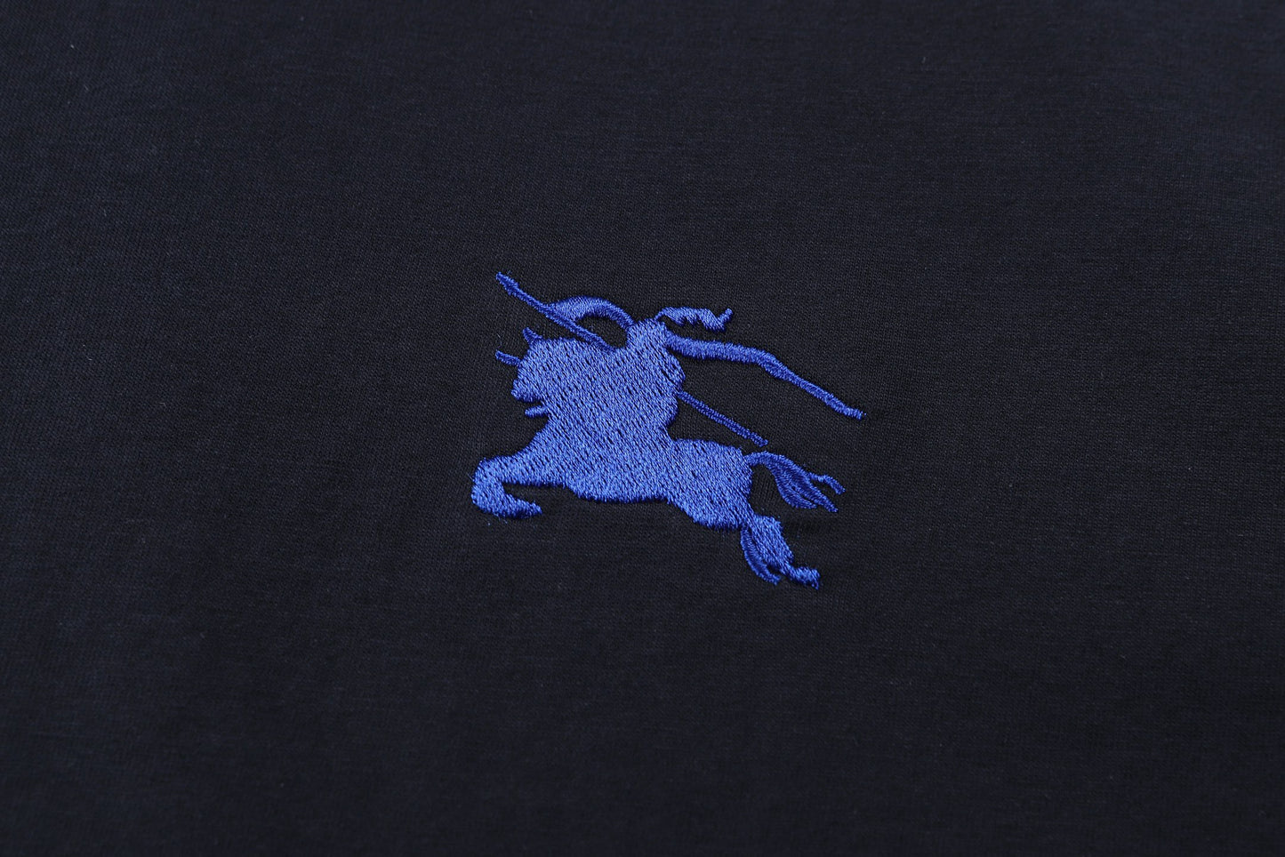 Blue and White T-shirt