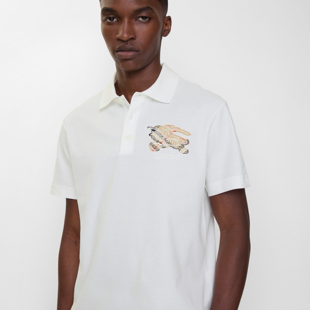 Multi-color Polo