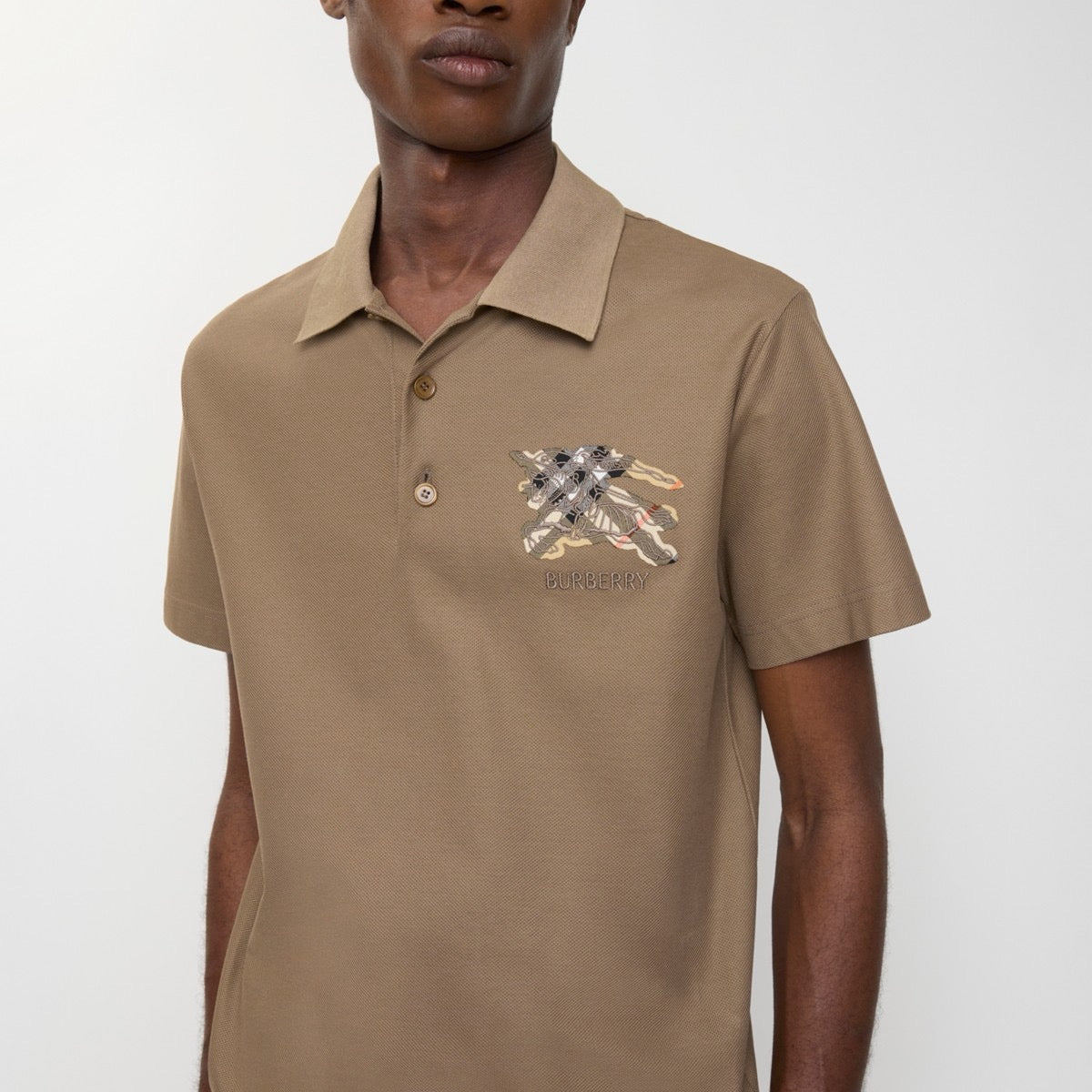 Multi-color Polo