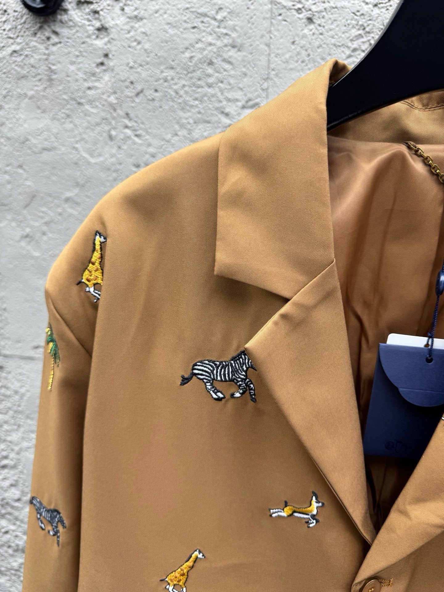 Brown Jacket