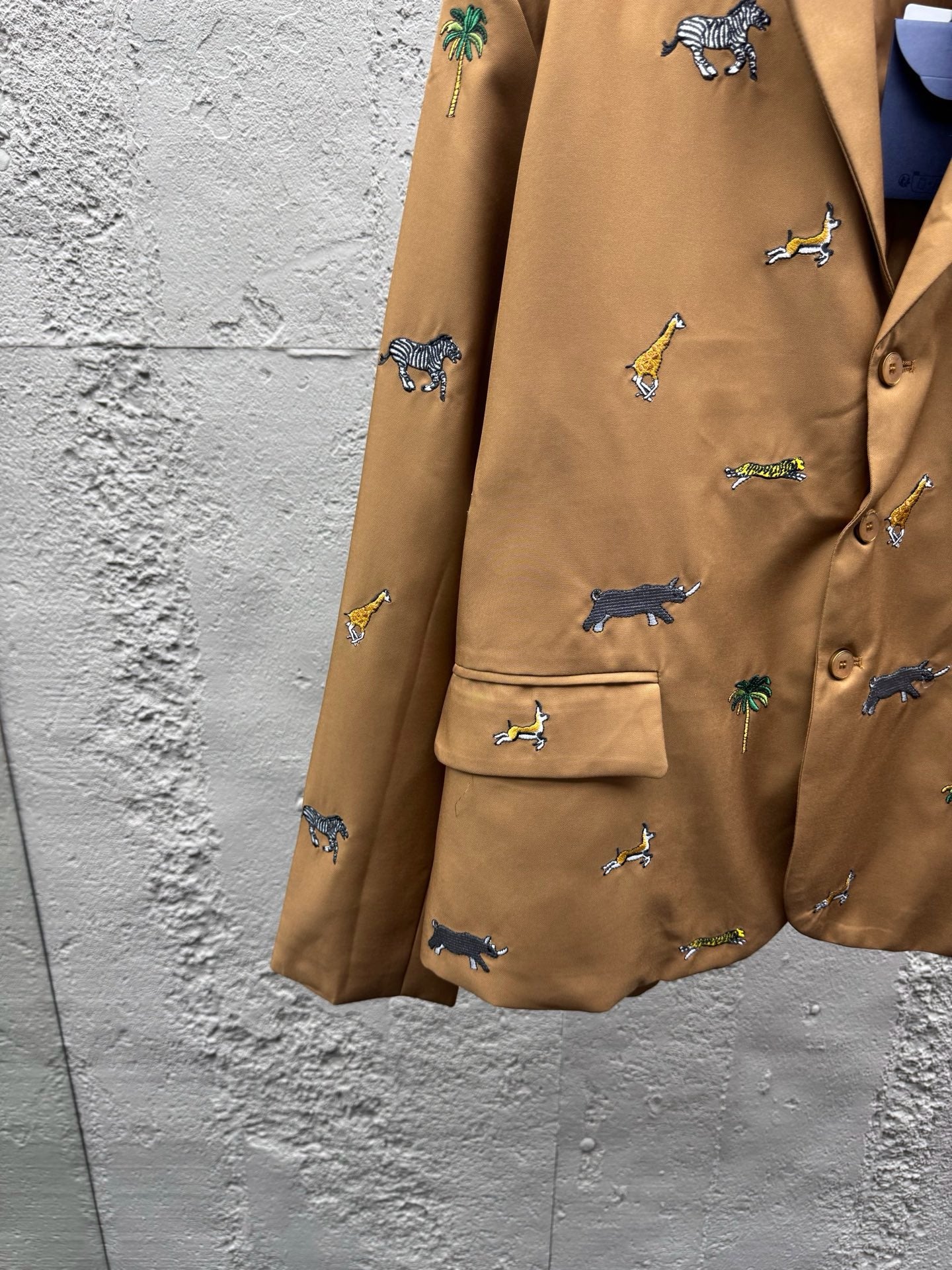 Brown Jacket