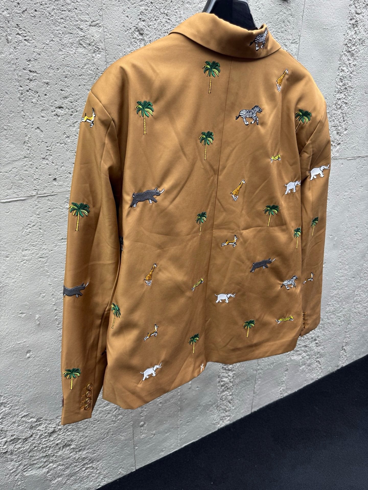 Brown Jacket
