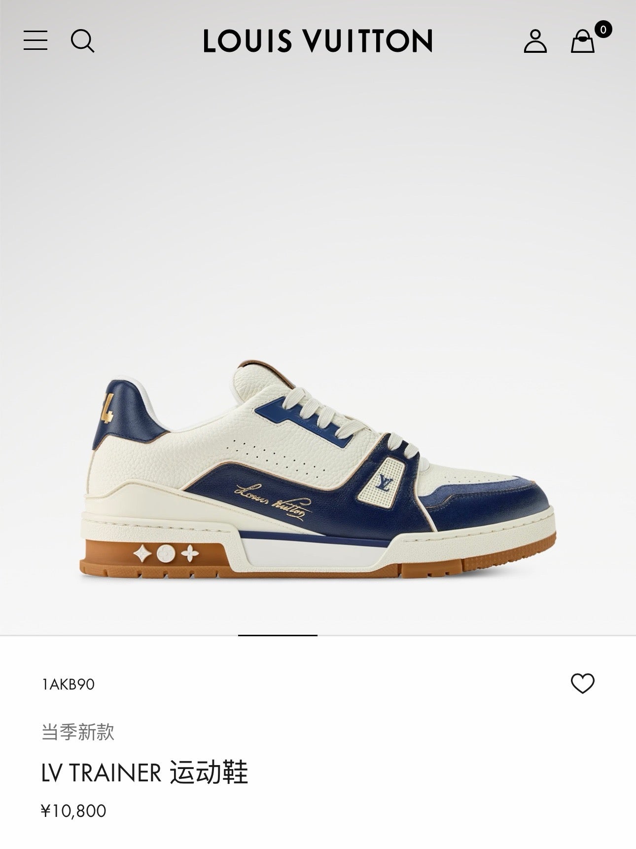 Multi-color Shoes