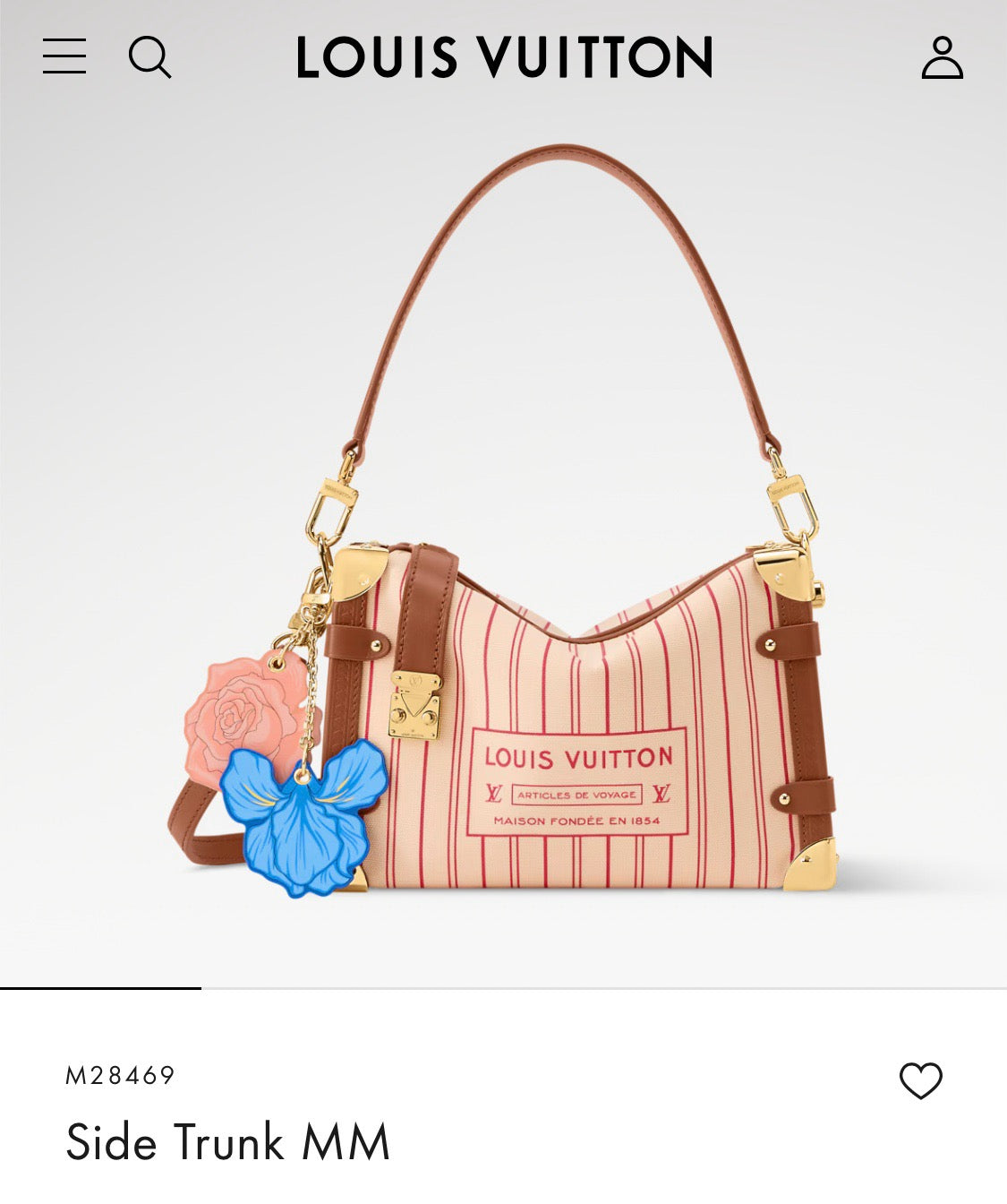 Multi-color Bag