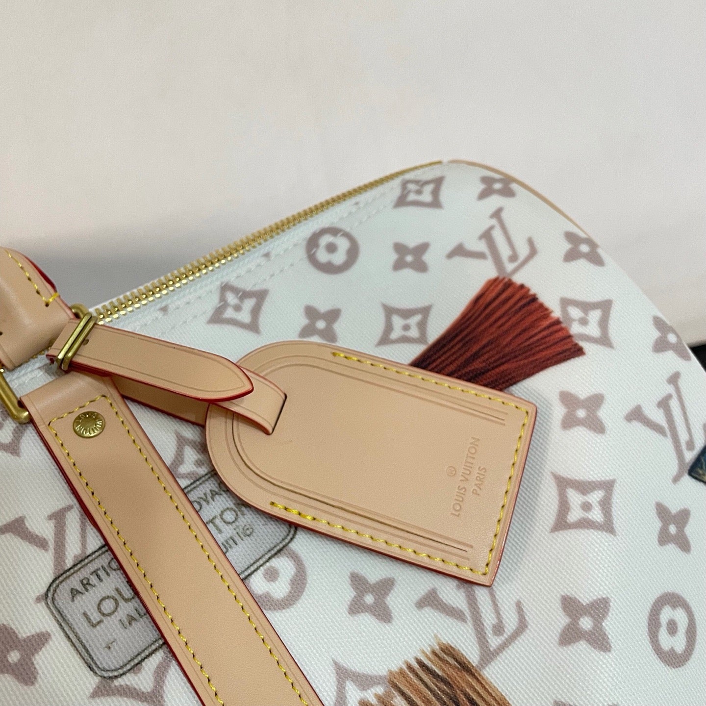 Multi-color Bag