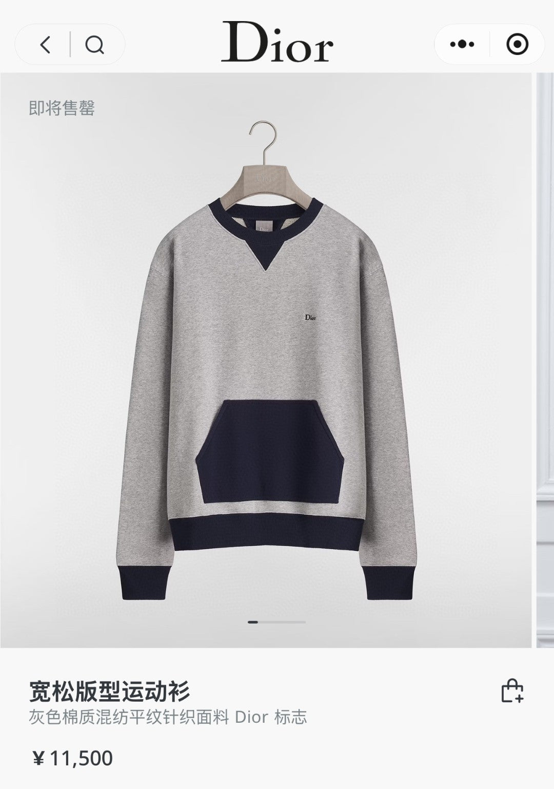 Grey Sweatshirt