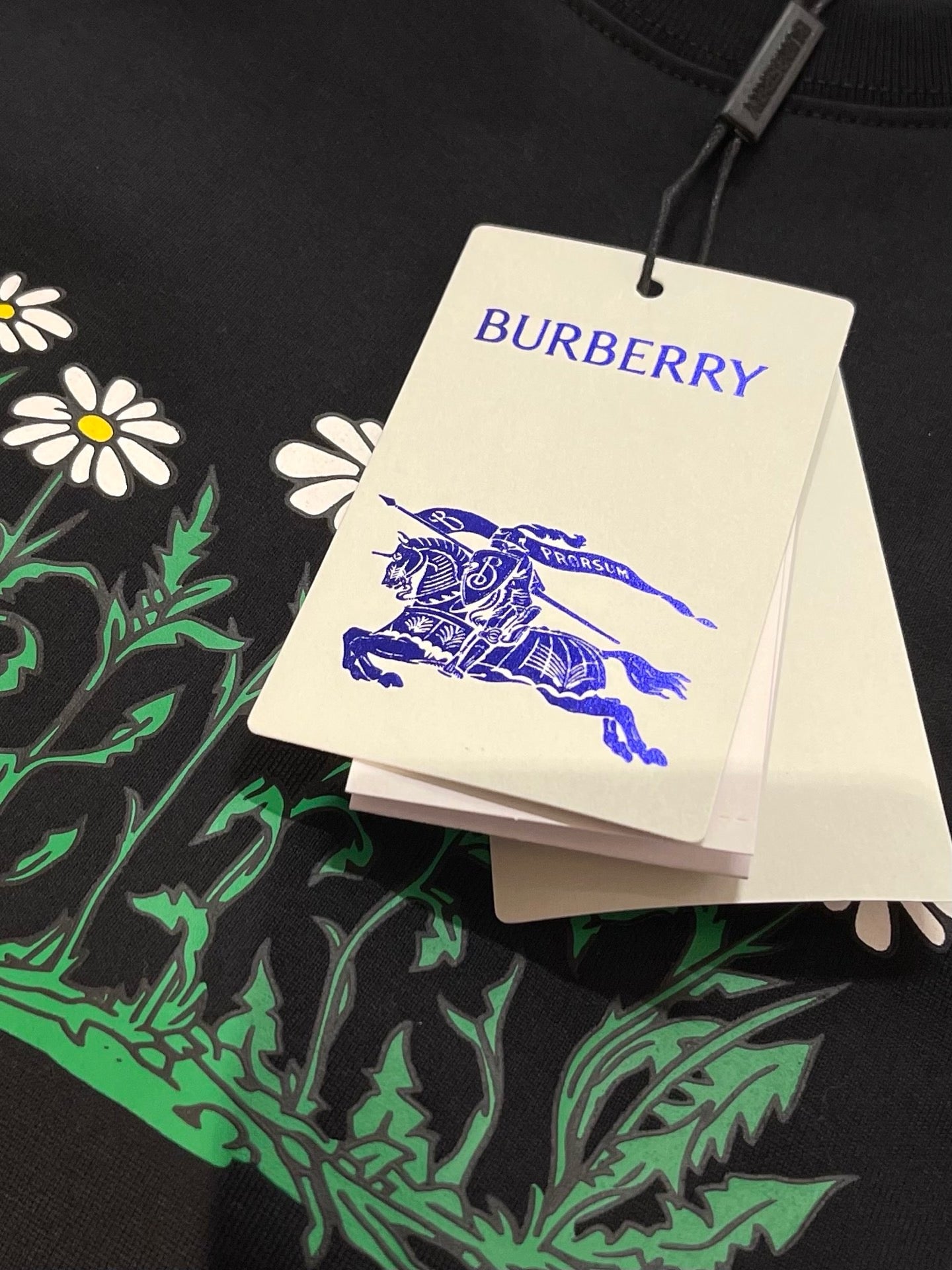 Camiseta en blanco y negro