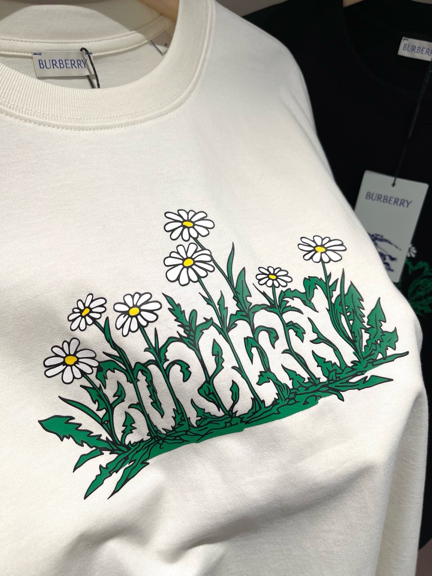 Camiseta en blanco y negro