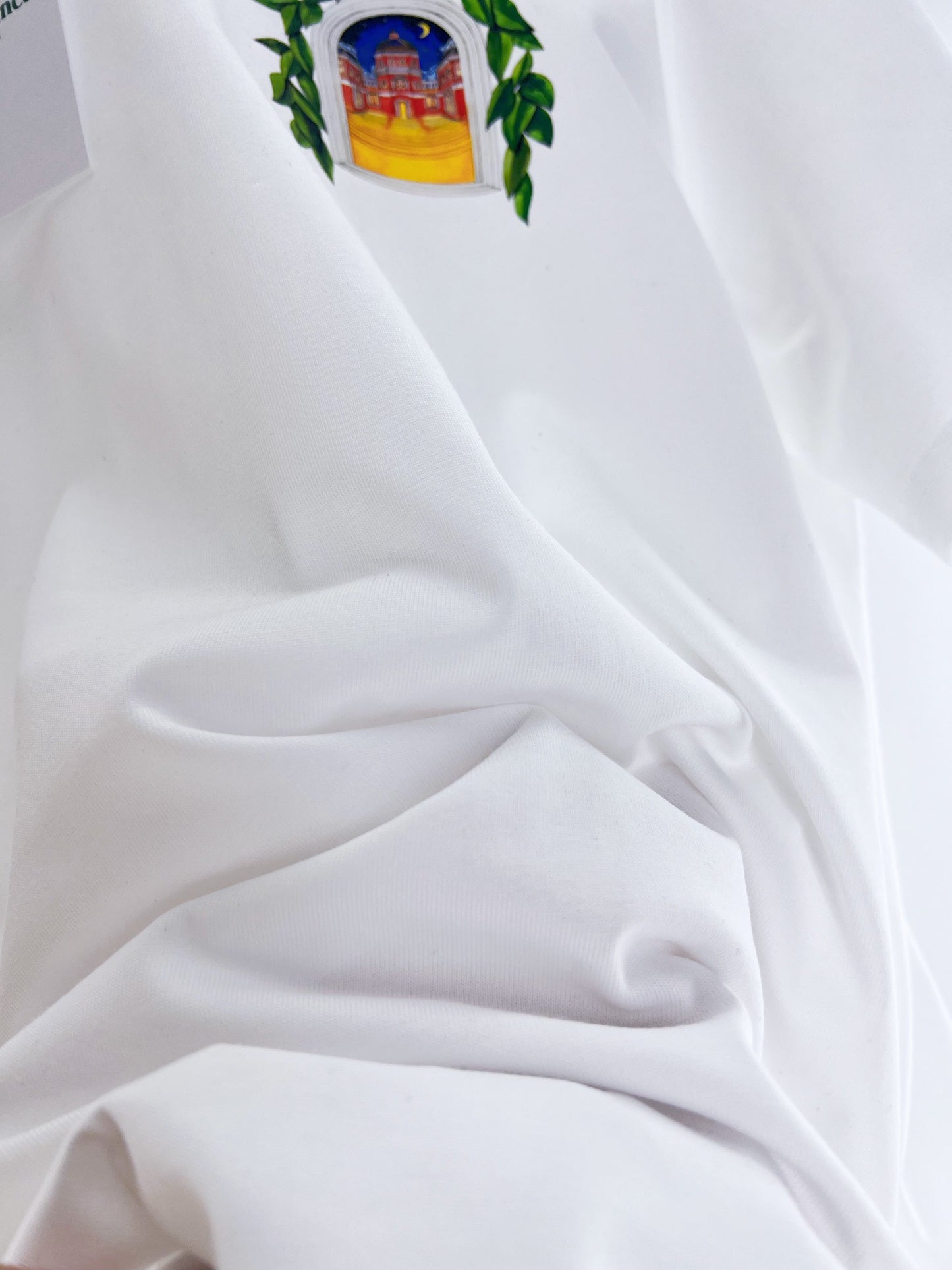 Camiseta en blanco y negro